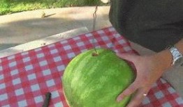 网红吃瓜旅游视频大全,盘点热门旅游视频大全